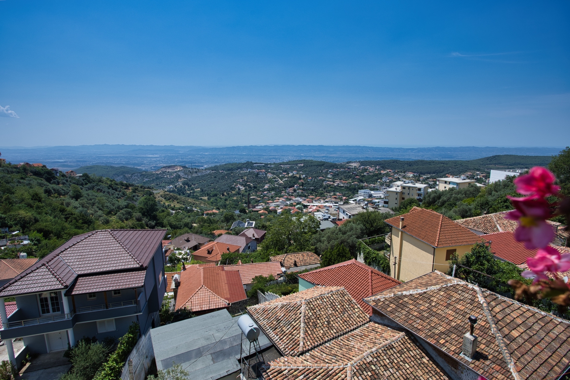 ディリットのミッション